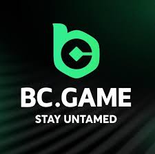 Understanding Payment Methods on BC.Game Understanding Payment Methods on BC.Game